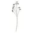 Vickerman 25