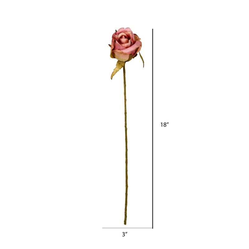 Vickerman 18