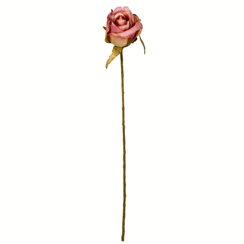 Vickerman 18