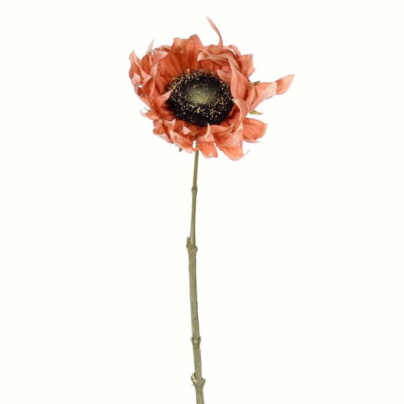 Vickerman 24
