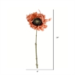 Vickerman 24