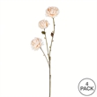 Vickerman 24
