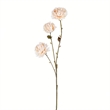 Vickerman 24