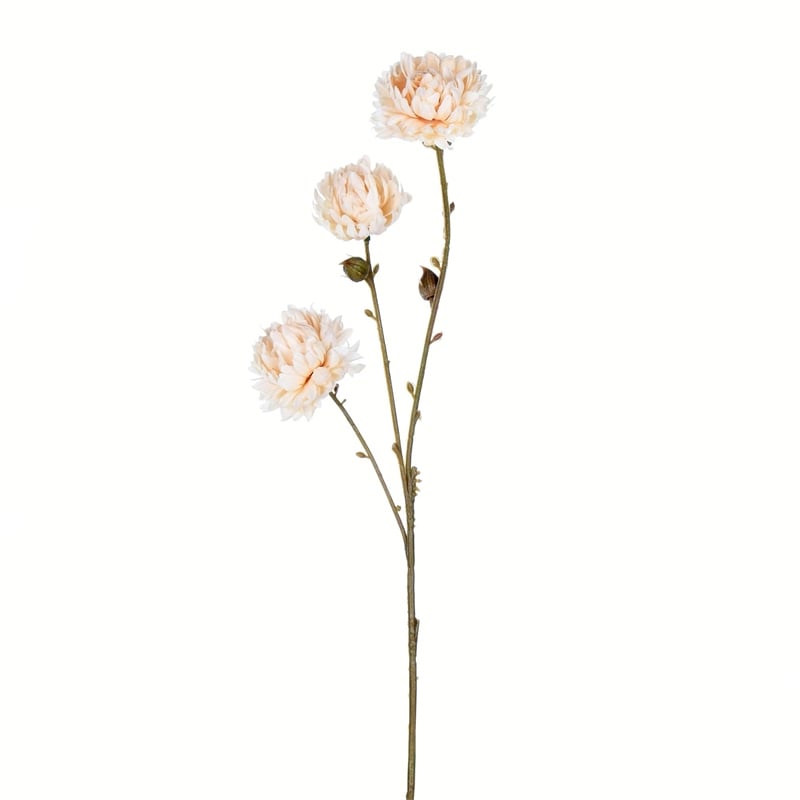 Vickerman 24