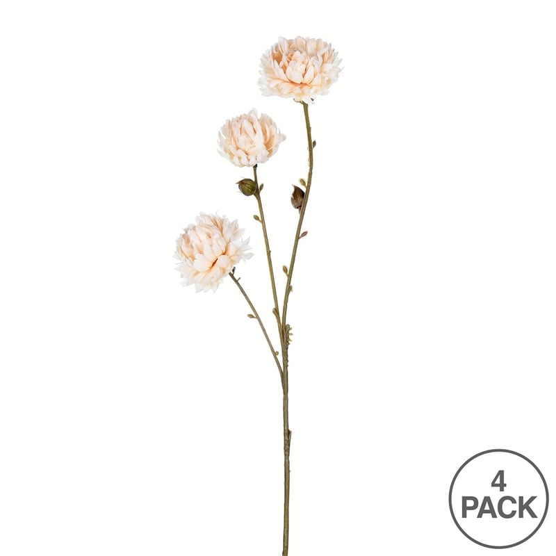 Vickerman 24