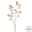 Vickerman 26
