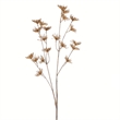 Vickerman 26