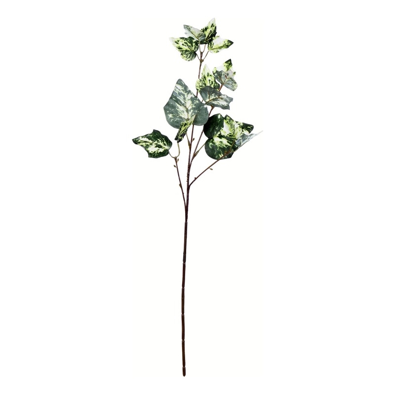 Vickerman 24