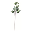Vickerman 24
