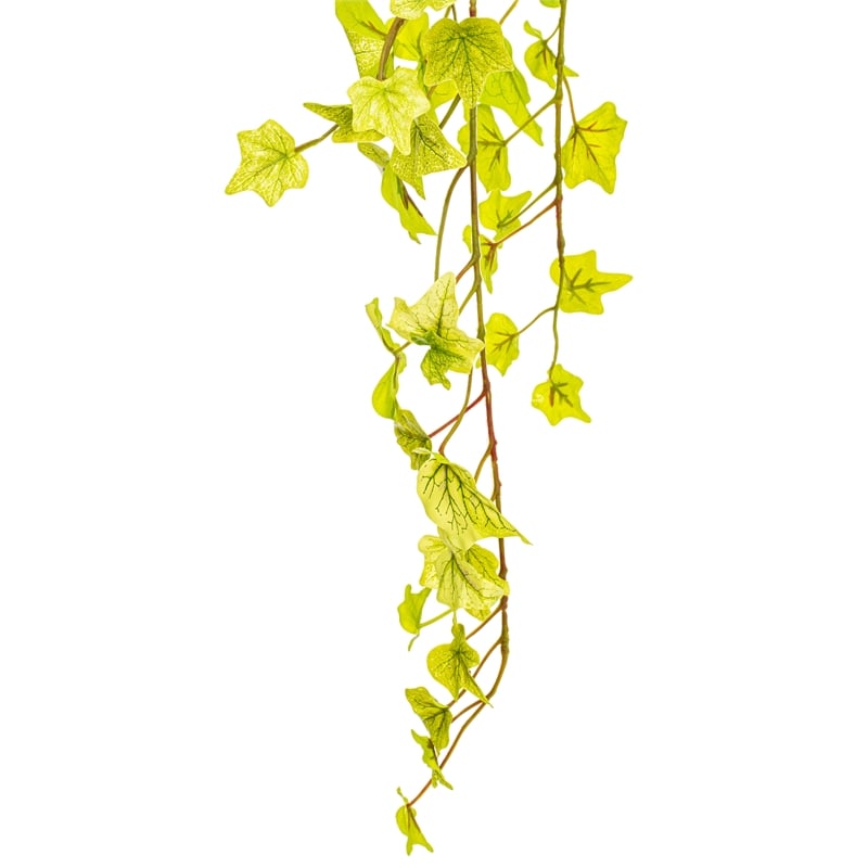 Vickerman 34