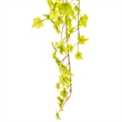 Vickerman 34