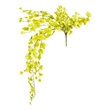 Vickerman 34