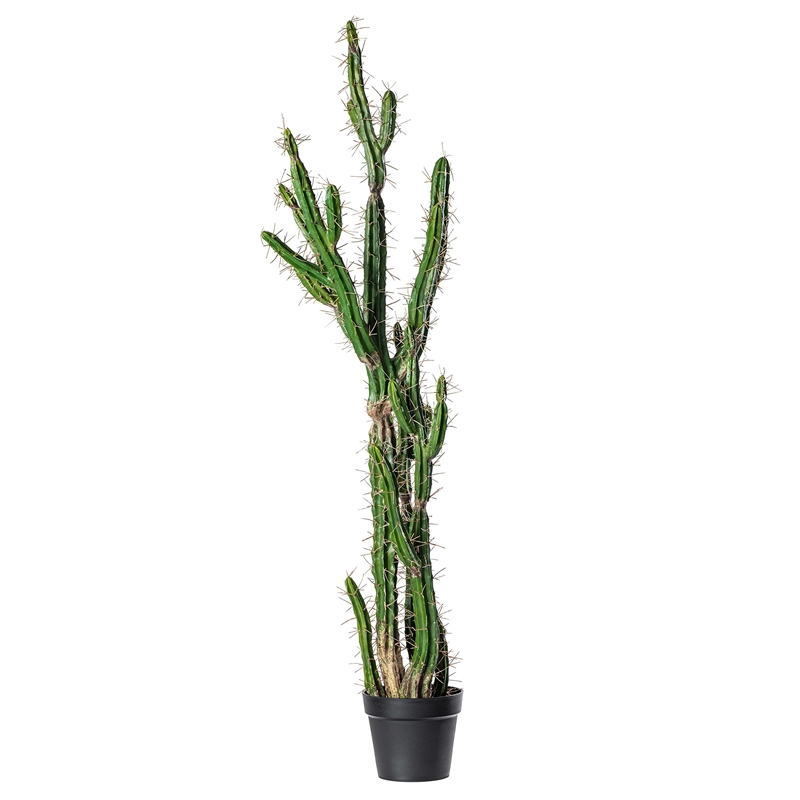 Vickerman 56.5