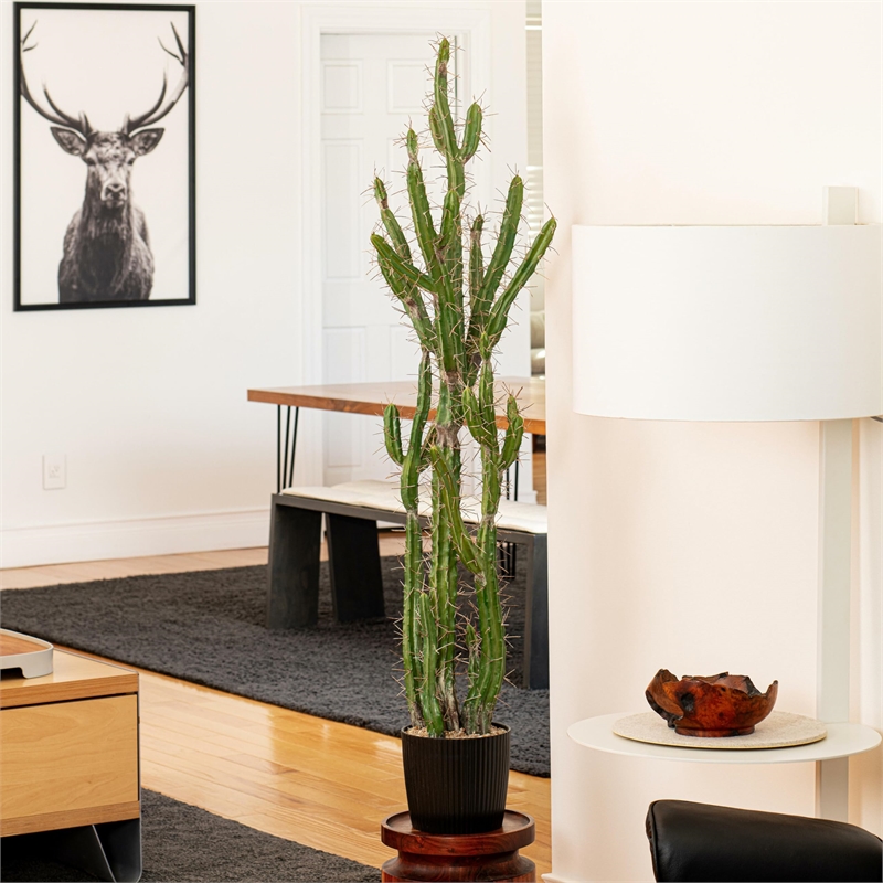 Vickerman 56.5