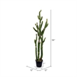 Vickerman 56.5