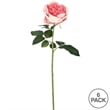 Vickerman 25