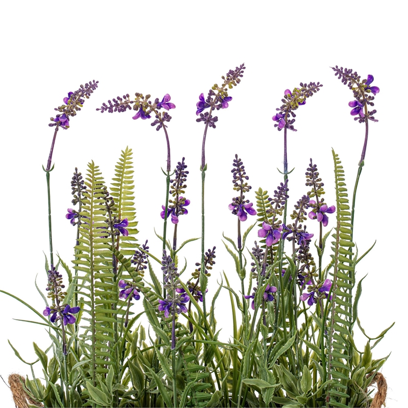 Vickerman 16