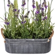 Vickerman 16
