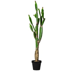 Vickerman 57&quot Plastic Artificial Cactus with Black Planters Pot in Green