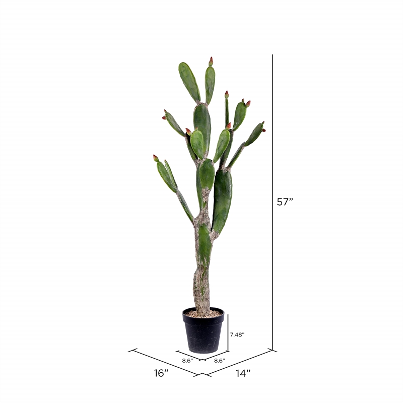 Vickerman 57