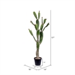 Vickerman 57