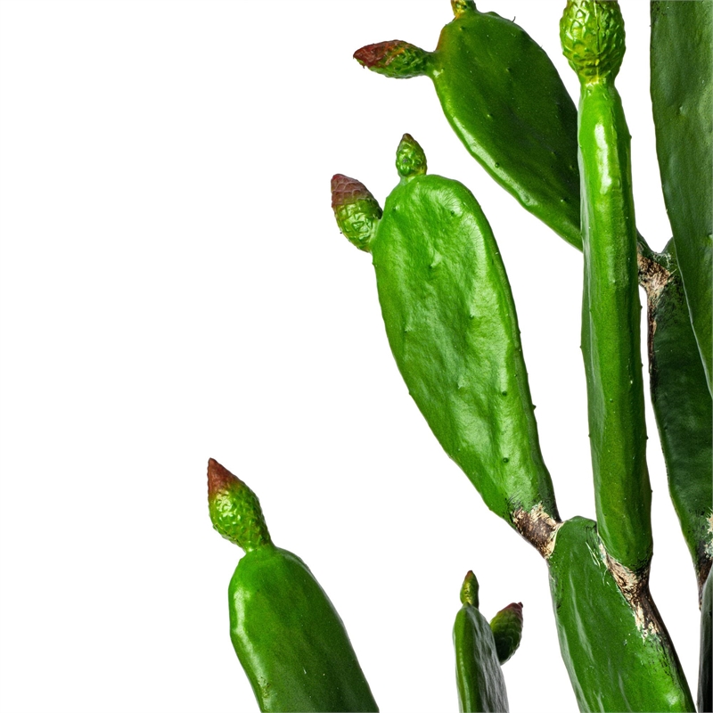 Vickerman 80