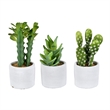 Vickerman 7