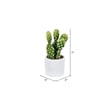 Vickerman 7