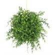 Vickerman 8