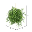 Vickerman 8