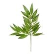 Vickerman 23