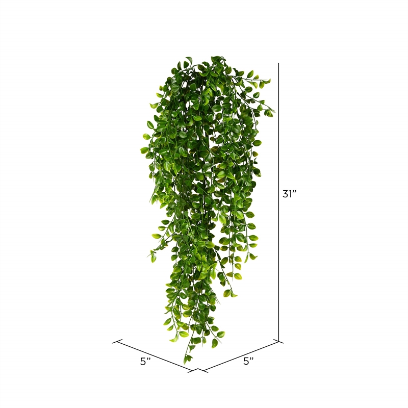 Vickerman 31