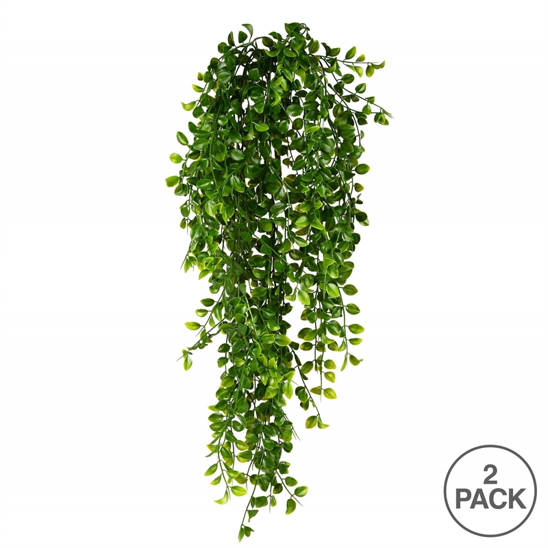 Vickerman 31