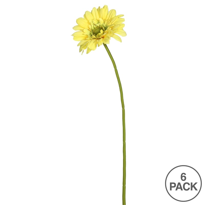 Vickerman 21