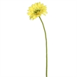 Vickerman 21