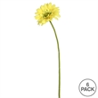Vickerman 21