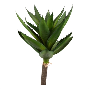 Vickerman 14&quot Contemporary Plastic Artificial Succulent Stem in Green (Set of 2)