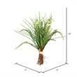 Vickerman 19