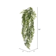 Vickerman 34