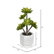 Vickerman 13