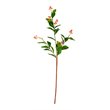 Vickerman 25