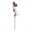 Vickerman 31.5