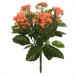 Vickerman 17.25