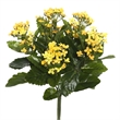 Vickerman 17.25