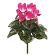 Vickerman 11