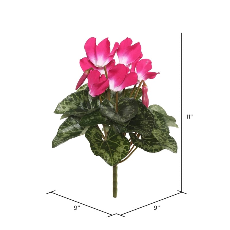 Vickerman 11