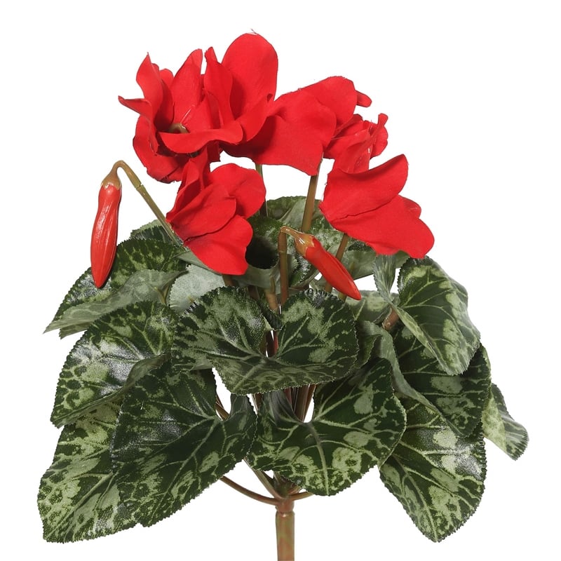 Vickerman 11