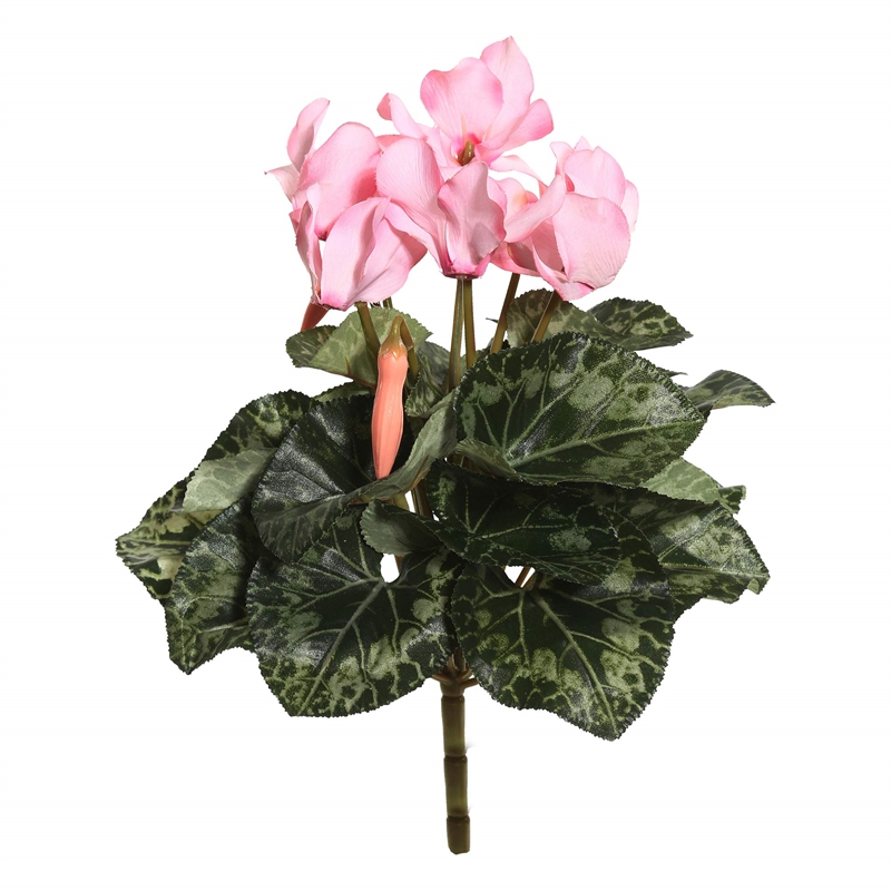 Vickerman 11