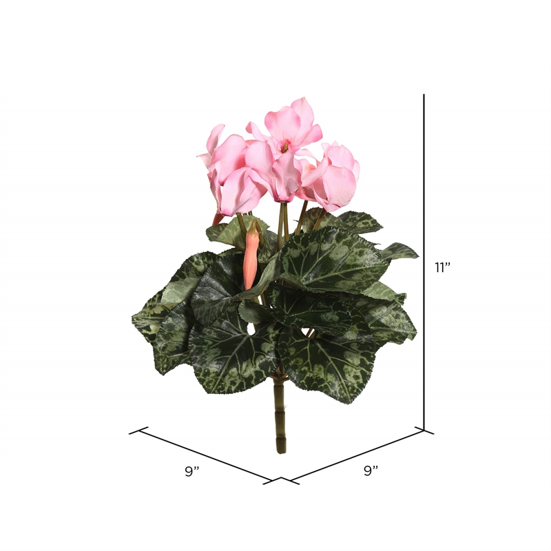 Vickerman 11