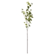 Vickerman 46
